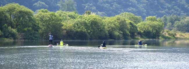 홍천의 체험마을 ‘배바위 카누마을’ 앞 마곡유원지에서 홍천강에 패들보드를 띄운 동호인들이 배바위를 향해 노를 저어 가고 있다. 초록의 자연으로 가득한 풍경을 바라보며 고요한 수면 위에 떠 있는 것만으로도 ‘힐링’이 되는 듯하다.