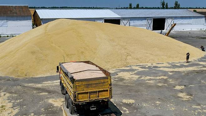 우크라이나는 아프리카와 중동의 주요 곡물 수출국이다