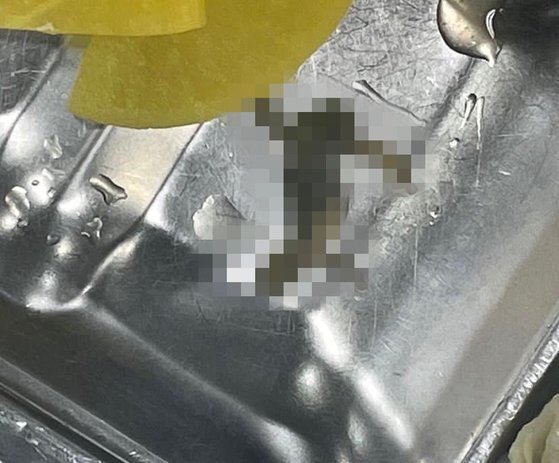 15일 서울 한 고등학교 급식에서 개구리 사체가 발견됐다. [독자 제공=연합뉴스]