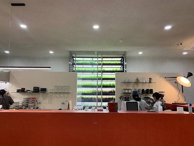 퍼밋의 스마트팜은 사무실, 카페 등 면적이 적은 곳에서 설치 가능하다. 출처 = 퍼밋