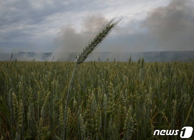 18일(현지시간) 우크라이나 도네츠크 바크무트 밀 밭에서 러시아 군의 포격을 받아 연기가 솟아오르고 있다. © 로이터=뉴스1 © News1 우동명 기자