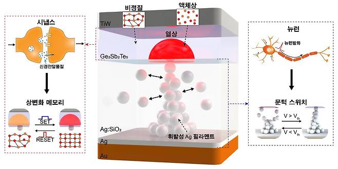 뉴런과 시냅스를 동시에 모사하는 뉴로모픽 소자 개념도 - 카이스트 제공