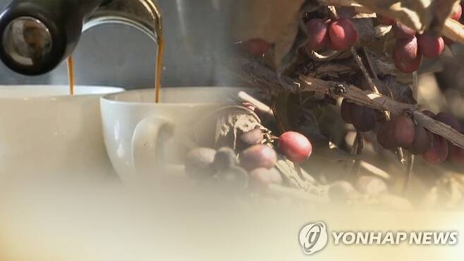 커피 원두 [연합뉴스 자료사진. 재판매 및 DB 금지]