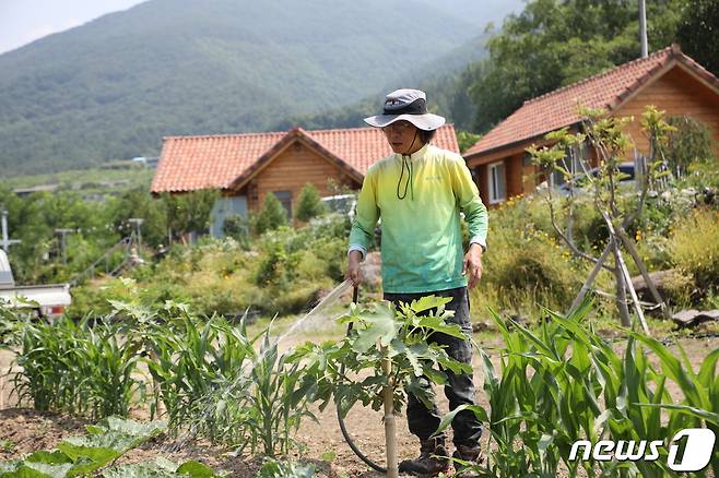 김창승씨가 텃밭에서 작물에 물을 주고 있다. © News1