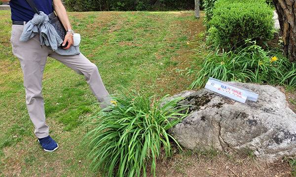 지난 17일 한 관광객이 출입을 금지하는 표식 바로 옆 잔디밭에 들어가 서 있다.