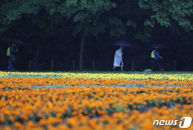 경남 함양군 상림공원을 찾은 관광객들이 우산을 쓴 채 걷고 있다. (함양군 제공) 2019.6.26/뉴스1