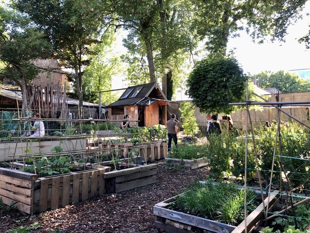 베트남 출신 작가그룹인 냐산 컬렉티브가 카셀 현지인들과 협업해, 버려진 빈터에 일군 작은 농장. 식물을 재배하고 방문객들과 나누는 프로젝트를 하고 있다. 신보슬 큐레이터 제공