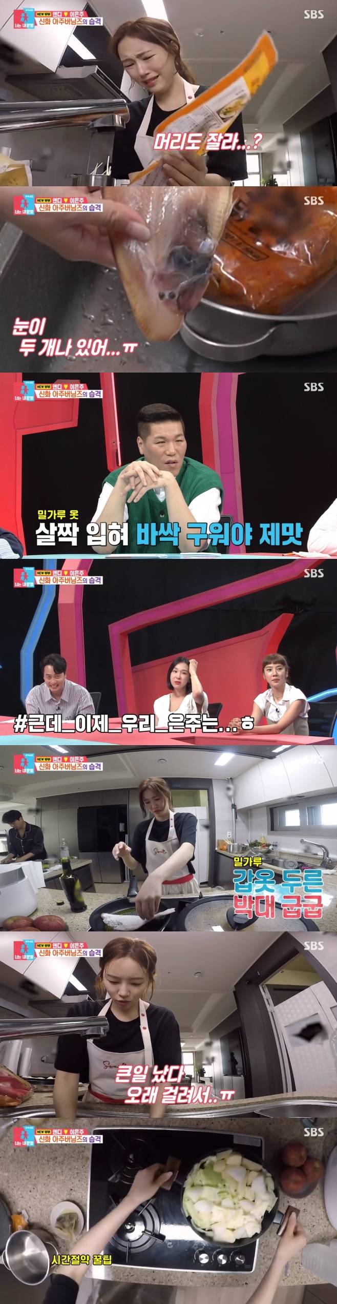 티브이데일리 포토