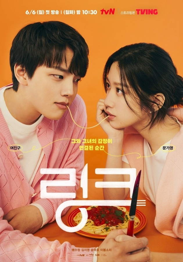 '링크' 포스터./사진제공=tvN