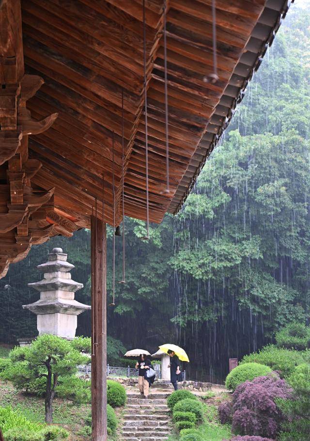 부석사 무량수전 처마 끝으로 시원하게 낙숫물이 쏟아지고 있다. 마음속까지 정화되는 듯한 빗소리다.