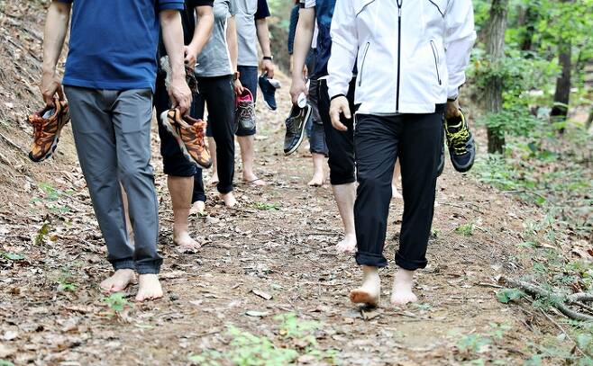 맨발로 숲 속을 걷는 사람들. 산림청 제공
