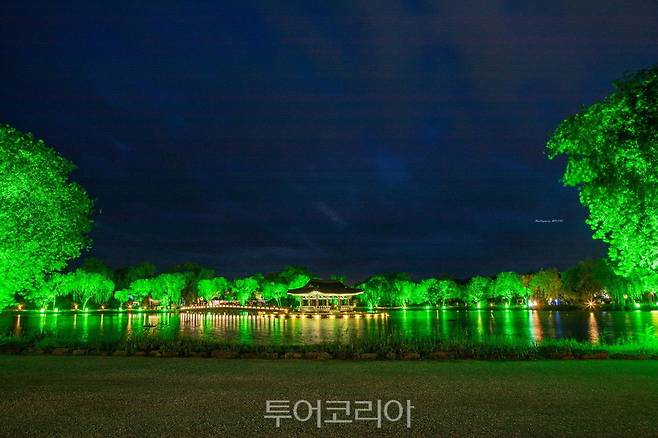 서동공원(궁남지) 야간경관
