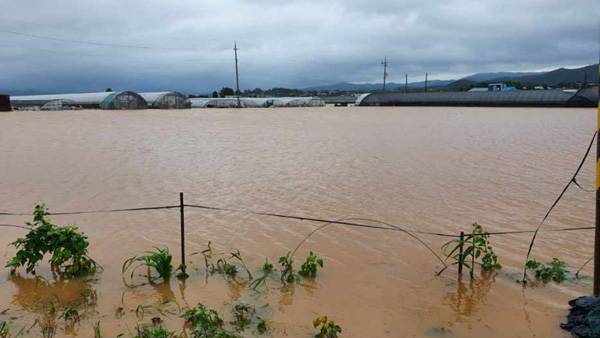 사진 제공: 연합뉴스 (자료 사진)