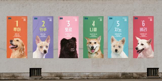 동물구조단체 위액트가 제작한 선거 콘셉트의 구조견 입양 포스터. 위액트 제공