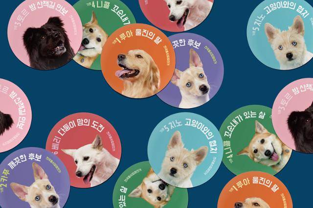 위액트가 구조견 입양 홍보를 위해 제작한 선거 콘셉트의 스티커. 위액트 제공