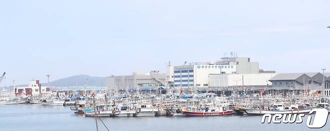 기상청이 3일 오후 3시를 기해 제주도 남쪽 바깥 먼바다에 태풍주의보를 발효하는 가운데 제주 서귀포시 성산항에 어선들이 정박해 있다. 2022.7.3/뉴스1 © 뉴스1 강승남 기자