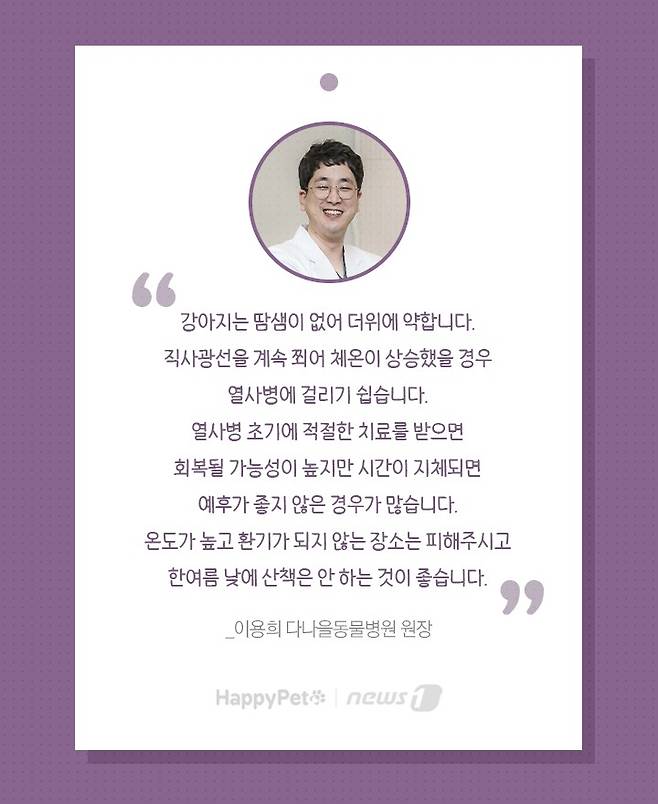 펫카드 ⓒ 뉴스1