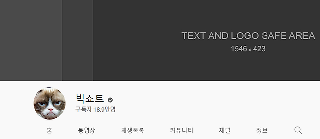 ⓒ유튜브 '빅쇼트' 갈무리