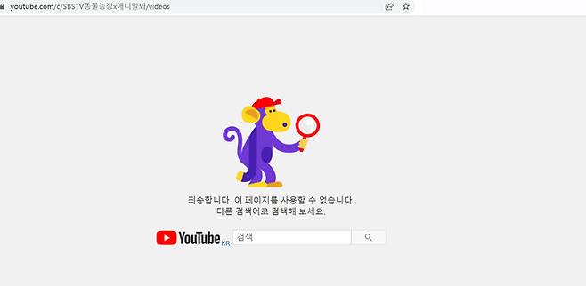 SBS 애니멀봐 유튜브 페이지