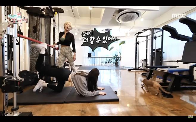 @전지적참견시점