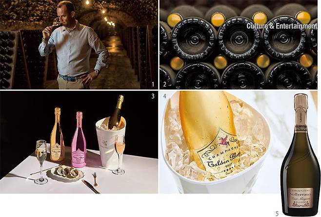 1 볼레로 샴페인 셀러에서 와인을 테이스팅하는 프랭크 볼레로. 2 볼레로의 샴페인 셀러에 보관된 와인들.3 골든 블랑. 4 아이스버킷에 담긴 골든 블랑. 적정 음용 온도가 되면 레이블의 페가수스 마크가 핑크빛으로 변한다.5 볼레로 퀴베 마거리트. 사진 드링크인터내셔널