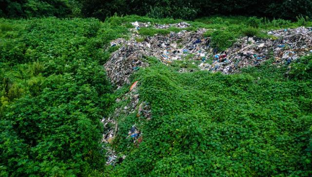 쓰레기로 이뤄진 폐기물 무더기가 잡풀에 묻혀 쓰레기 산의 경계가 모호해졌다.
