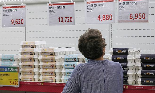 추석을 앞두고 밥상 물가에 비상이 걸렸다. 7일 서울 시내 한 대형마트를 찾은 시민들이 장을 보고 있다. 뉴시스