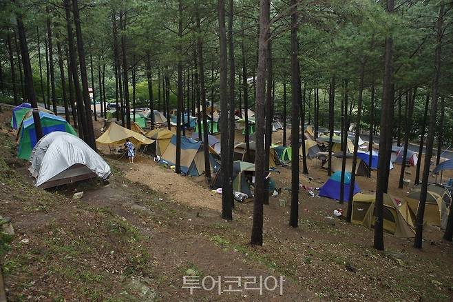 보성 자연휴양림