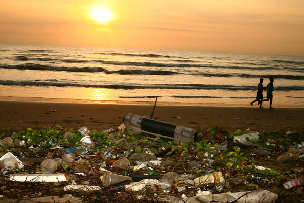 해변으로 밀려온 플라스틱 폐기물 / 픽사베이