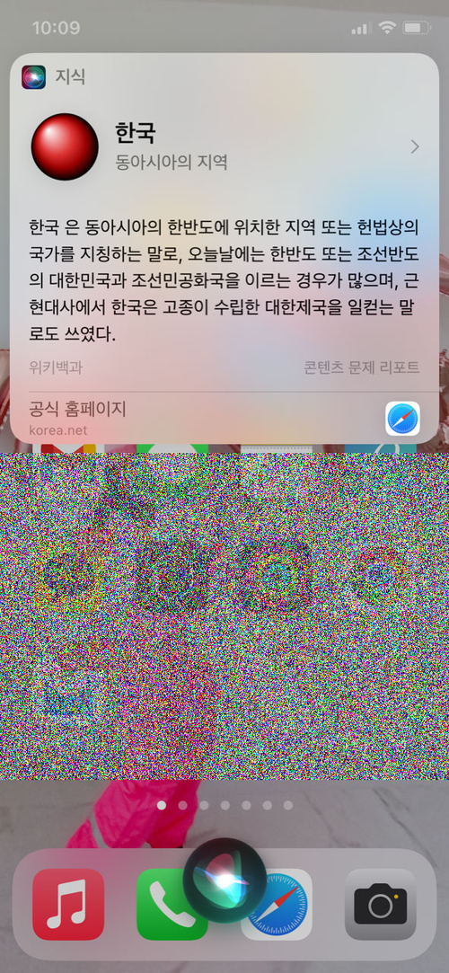 10일 오전 현재 애플 시리에 ‘한국’에 대해 물으면 수정된 답변이 나온다.