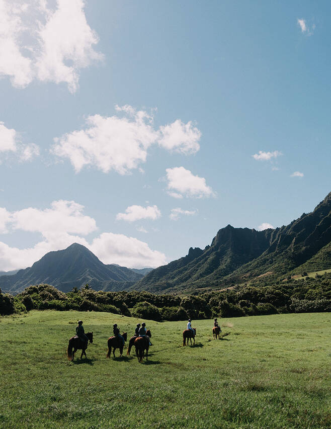 고대 하와이언들이 신성하게 여겼던 쿠알로아 랜치는 오아후 섬의 풍요로운 자연을 체험할 수 있는 가장 좋은 장소다. 여전히 전통 농업과 목축업, 어업이 이뤄지는 한편, 다채로운 액티비티가 펼쳐지는 이곳의 풍광을 말의 등에 올라 바라보길.