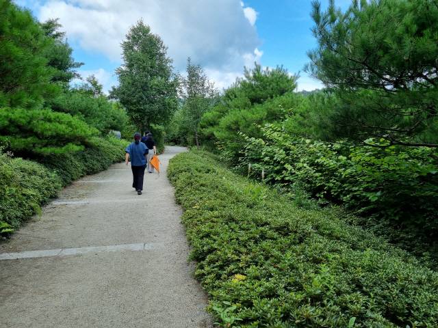 국립한국자생식물원 관람로