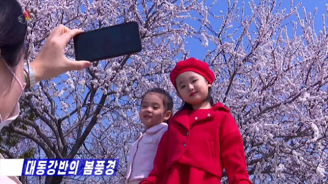 지난 4월 한 북한 주민이 평양 대동강반에 피어난 벚꽃을 배경으로 아이들을 사진촬영 하고있다.(사진=조선중앙TV 화면)