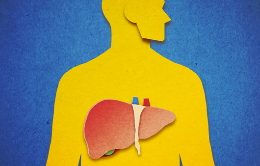 간|출처: 게티이미지 뱅크