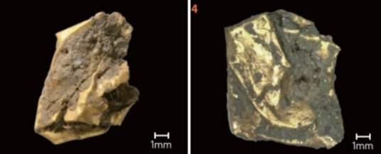 금박 1호(3)와 금박 2호(4) 등 금박 유물은 구겨져 형태를 알아볼 수 없는 상태로 발굴됐다. 어창선 제공