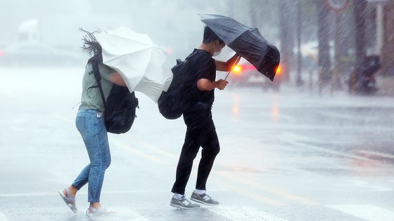 8일 서울 영등포구의 한 횡단보도에서 우산을 쓴 시민들이 길을 건너고 있다. 연합뉴스