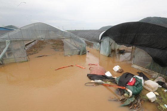 14일 오후 충남 청양군 장평면 농가 비닐하우스들이 전날 내린 폭우로 잠겨있다. 연합뉴스