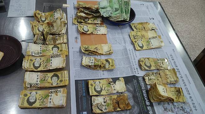 장판 밑 습기 등으로 훼손된 은행권. 사진 한국은행