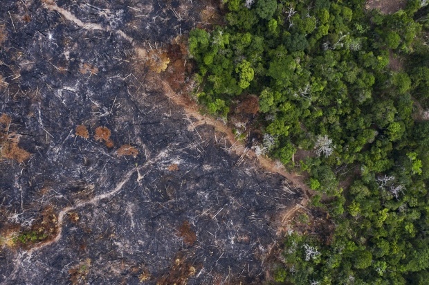 지난달 불법 벌목으로 파괴된 아마존 열대우림 면적이 올해 들어 최다를 기록했다. AP 연합뉴스 자료사진.