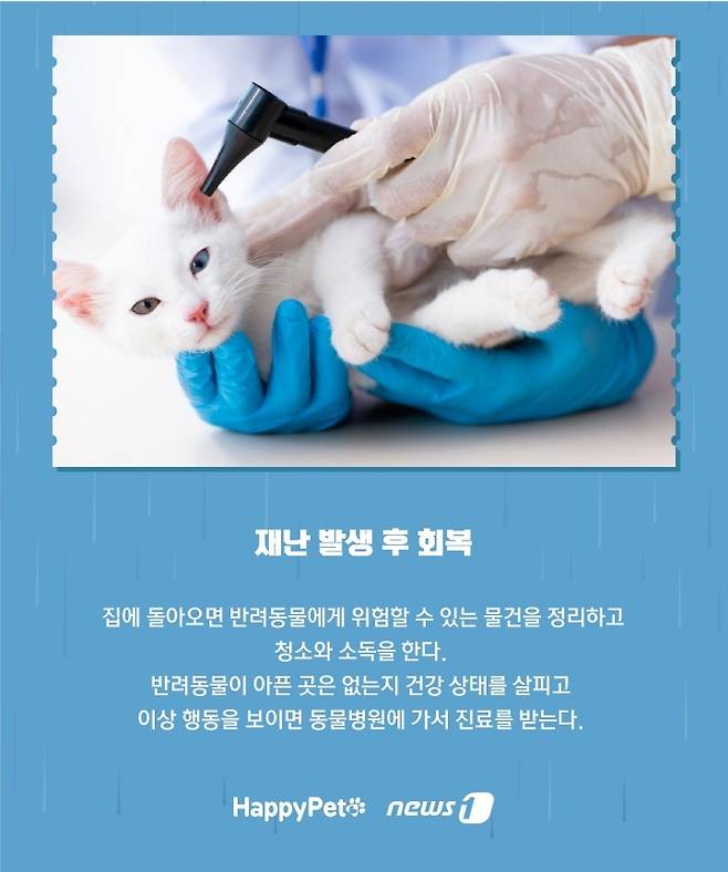 재난 발생 시 반려동물과 대피 방법 ⓒ 뉴스1