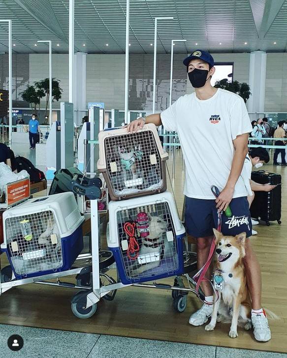 배우 이기우는 지난달 12일 사회관계망서비스(SNS)에 유기견 세 마리 해외이동봉사를 했다며 올린 사진. 이기우 다리 사이 개는 이기우가 지난해 입양한 유기견 테디다. 이기우는 "(개들아)꽃길 걸으러 가자"라며 "해외이동봉사 어렵지 않다"고 글을 썼다./사진=배우 이기우 인스타그램 갈무리.