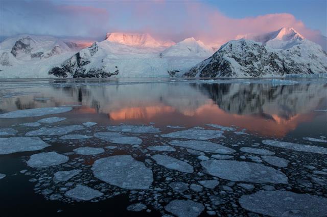 지구온난화로 인해 남북극 빙하가 지금과 같은 속도로 계속 녹아내리면 적도에 위치한 열대지역에는 사람이 거주하기 힘들 정도의 극한기후가 형성된다는 연구 결과가 발표됐다. 사진은 남극 안드보르드만에 빙하들이 녹아 얇은 조각처럼 떠 있는 모습.미국 캘리포니아 샌디에이고대 제공
