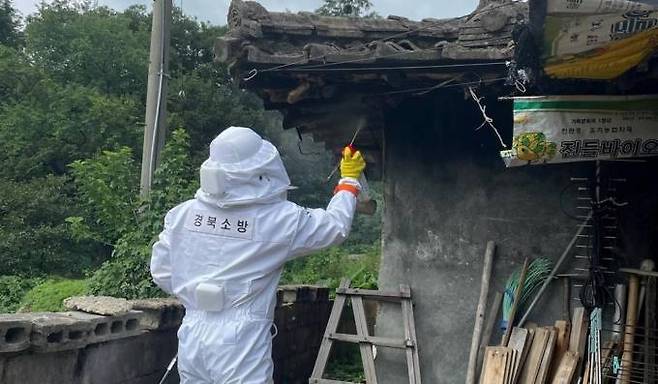 경북소방본부 119요원이 벌집을 제거하고 있다.(경북도 제공) 2022.08.17.