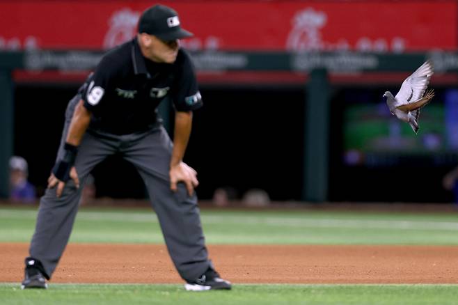 메이저리그 심판 이미지. 게티이미지코리아