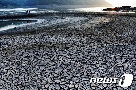 중국 충칭시 윈양현에 있는 양쯔강 인근 땅이 거북이 등껍질처럼 갈라져 있다. 사진은 24일 촬영됐다. 충칭시 기상국은 14일부터 12일 동안 폭염주의보를 발령했다. ⓒ AFP=뉴스1 ⓒ News1 최종일 기자
