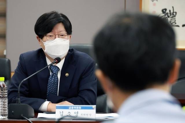 김소영 금융위원회 부위원장이 18일 오전 서울 종로구 정부서울청사에서 열린 금융산업리스크 대응 관련 민간전문가 간담회에 참석해 발언하고 있다. /금융위원회 제공