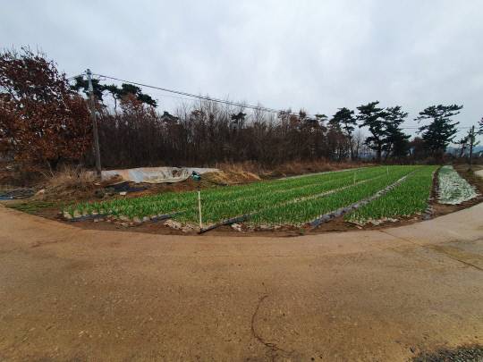 충남 태안군 태안읍 평천리 소재 임야.