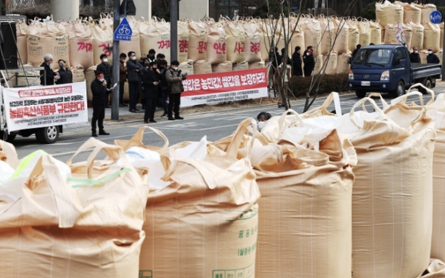 2월 쌀 농민단체들의 정부세종청사 농림축산식품부 앞 시위 현장. 연합뉴스