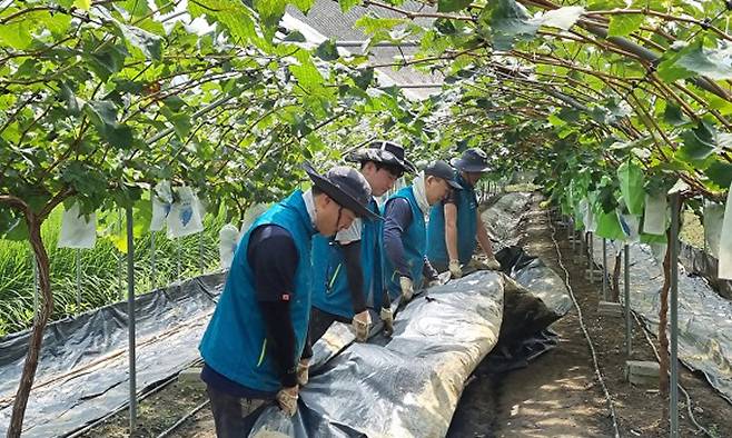 한국원자력환경공단 임직원이 18일 집중호우 피해가 발생한 충남 부여군 은산면을 찾아 수해복구 활동을 펼치고 있다. 한국원자력환경공단 제공