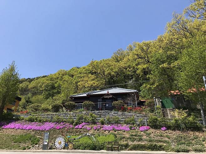초록으로 둘러싸인 풀꽃문학관.